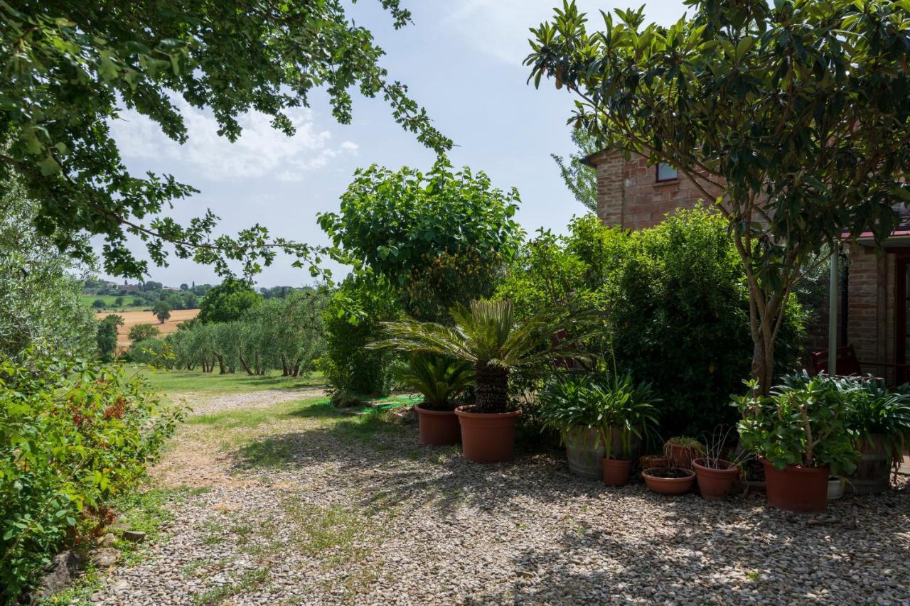 Вилла Casa Vignacce Marciano della Chiana Экстерьер фото