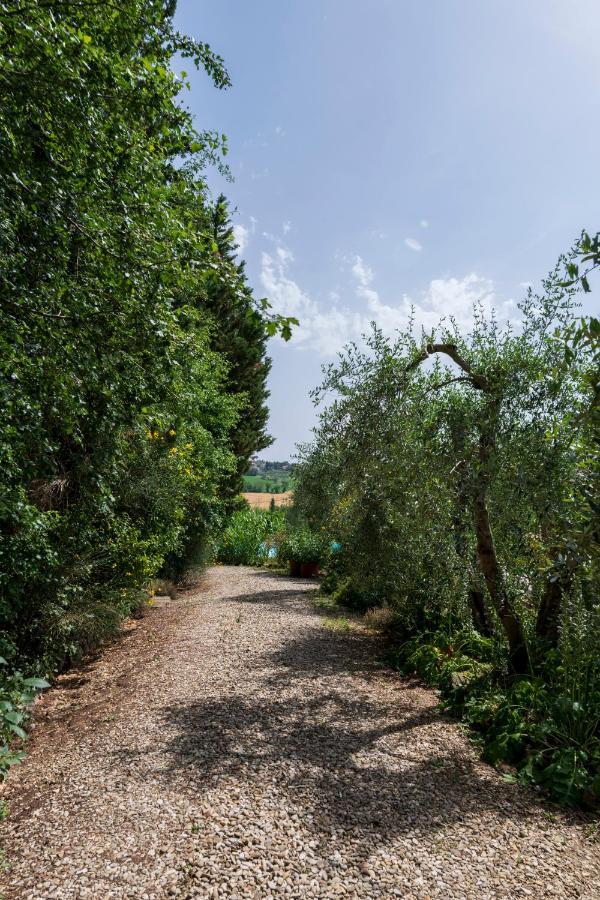 Вилла Casa Vignacce Marciano della Chiana Экстерьер фото
